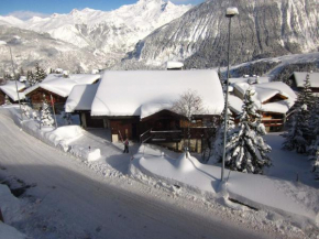 Chalet traditionnel à Courchevel 1850, vaste, bien situé, idéal pour familles, 10-11 pers. - FR-1-575-203